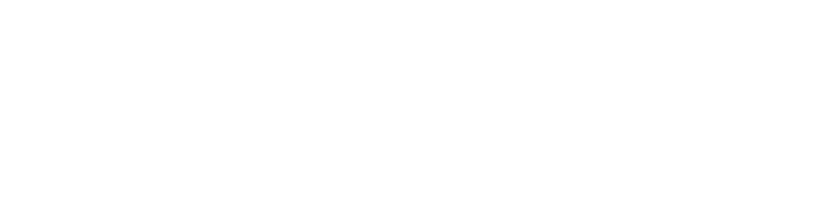Blitzkrieg co logo white